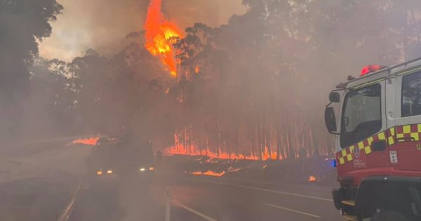 Currowan fire continues to threaten towns on day of extreme heat