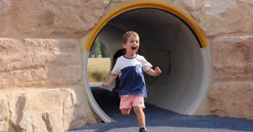 New nature play spaces at Glebe and Eddison Parks ready for summer