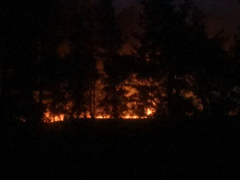 The fire front from Little Oak Sanctuary