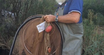 Freshwater fish study a 'wake-up call' for threatened species