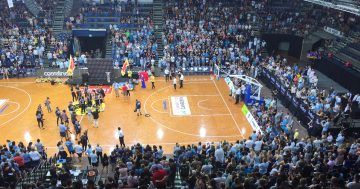 When too much basketball is never enough - it's a great time to be a fan in Canberra