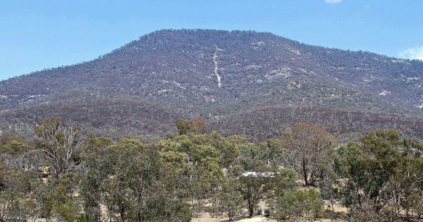 Police investigate incident in Namadgi National Park after woman found at visitor centre