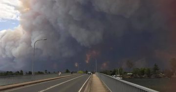 Day of devastation across Far South Coast