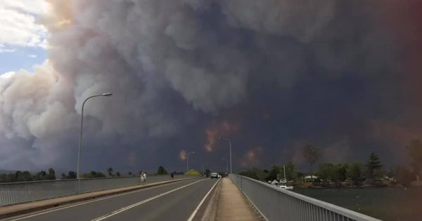 Day of devastation across Far South Coast
