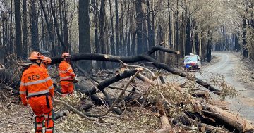 Highway reopens on south coast, Kings remains closed