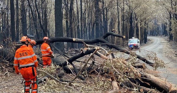 Highway reopens on south coast, Kings remains closed