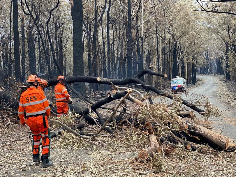 Currowan fire