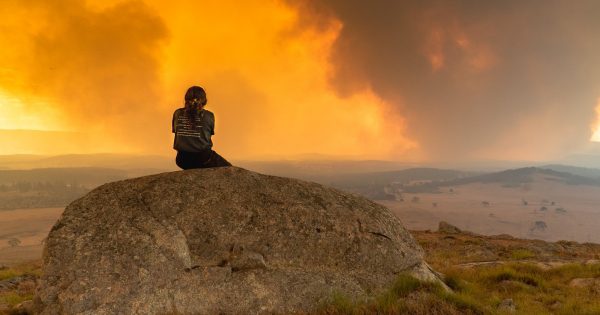Bushfire recovery survey to monitor community resilience