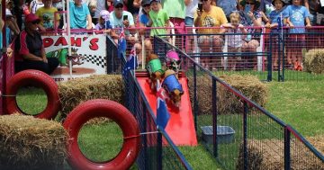 Clear your calendar, the Tathra races are kind of a pig deal