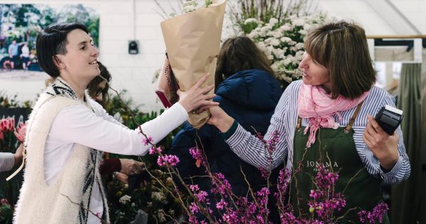 Eleven things to do around Canberra this weekend (6–8 December)