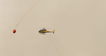 UPDATE: Pialligo bushfire remains at advice