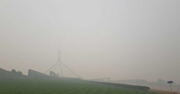 ANU children's book on bushfire smoke will help clear the air
