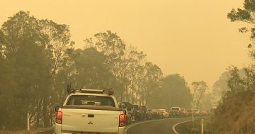 Evacuations begin as south coast residents choose to stay or go
