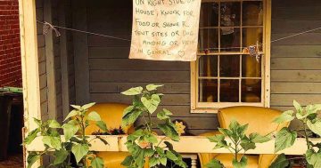 Surviving the fires: 