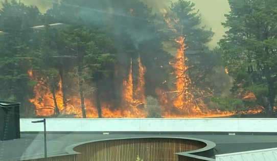 Update: Beard fire downgraded to advice, 20 properties saved by firefighters