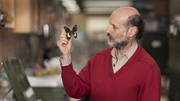 Associate Professor Michael Braby
