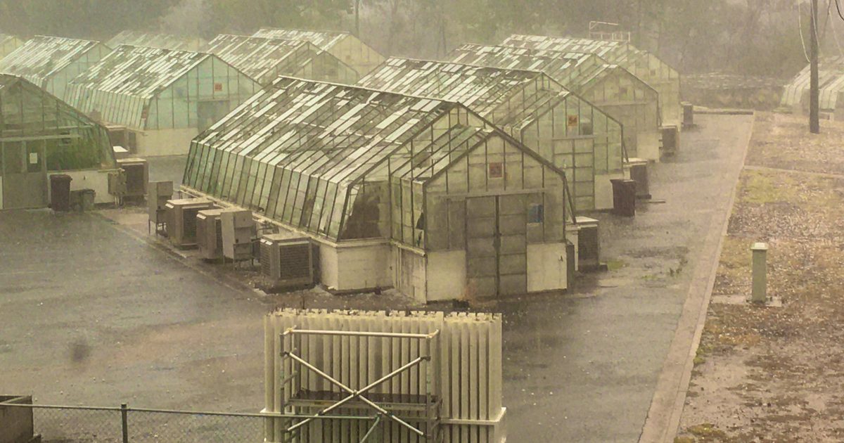 CSIRO Jobs Crisis: Scientists Fight for Funding and Future in Parliament