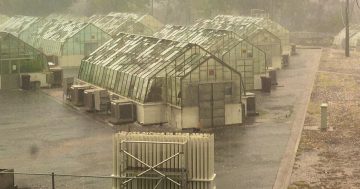 CSIRO jobs and massive glasshouse bill feature in separate parliamentary talks