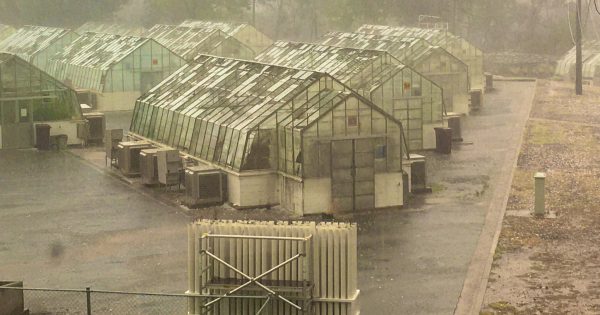 CSIRO jobs and massive glasshouse bill feature in separate parliamentary talks