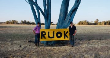 Ellie's mental health message laid bare in the Hilltops