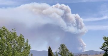 ACT total fire ban imposed as conditions set to worsen throughout the week