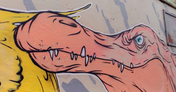 Grants for street artists set to splash colour across Canberra