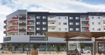 Anglicare warns rental affordability will collapse if JobSeeker payment reverts to Newstart