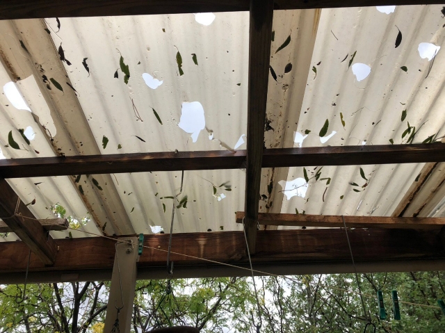 Pergola destroyed