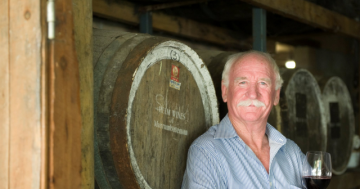 Anxious wait for winemakers to see if smoke has impacted harvest