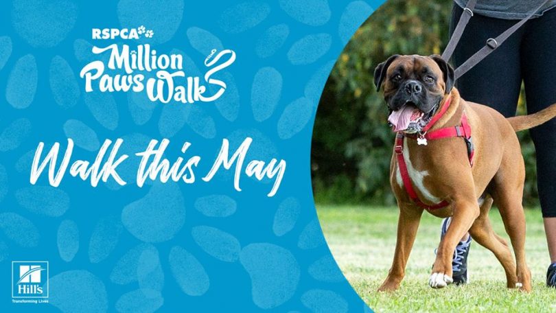 Walk this May