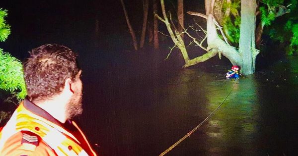 Man rescued from floodwater after clinging to a tree for 10 hours near Bega