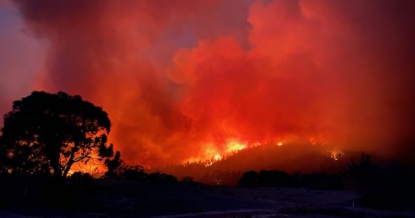 Bushfire inquiry falls short on climate change action, says Barr