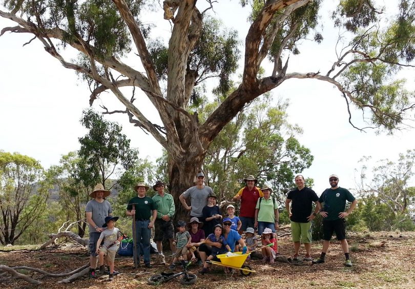 Mulching crew