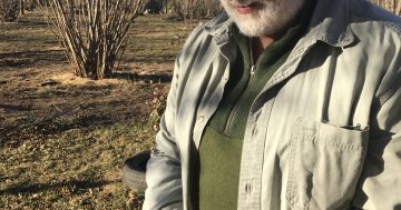 The 'exotic weeds' that saved a Braidwood truffle forest from destruction