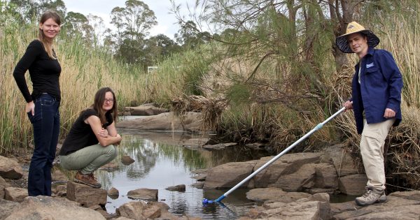 Report card shows trickle of improvement in quality of region's waterways