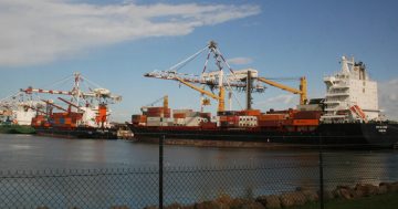 Canberra AI firm wins Commonwealth grant for biosecurity solution