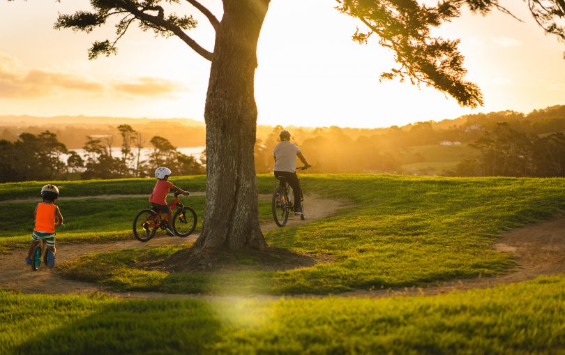 Father and kids riding push bikes in sunshine