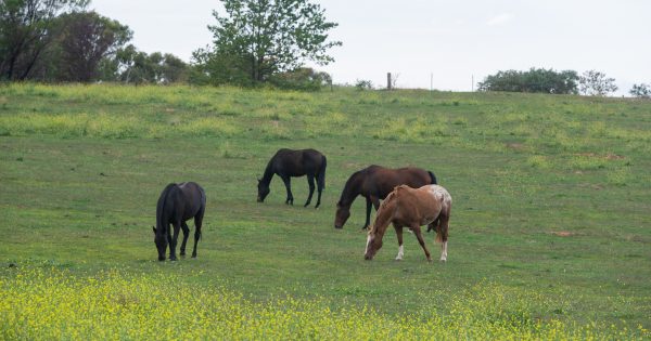 Land-swap smell will linger for government