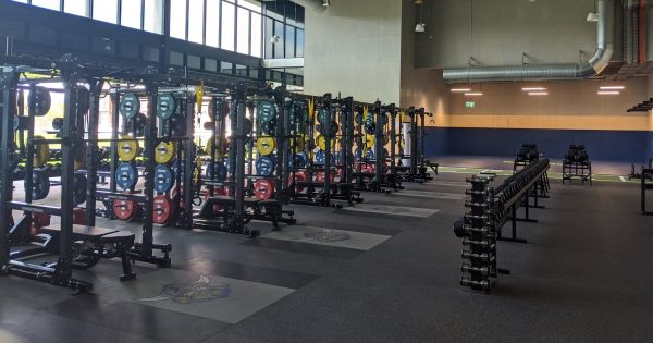 The Raiders stand down staff in response to NRL season postponement
