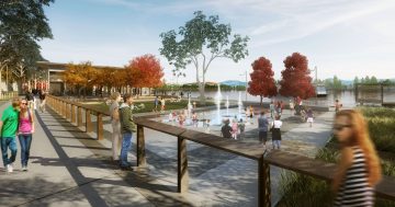 Shock and outrage at West Basin land swap with Curtin horse paddocks