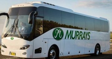 Murrays suspends buses to Sydney and Melbourne