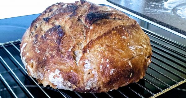 If you bought the flour, making sourdough is the yeast you can do
