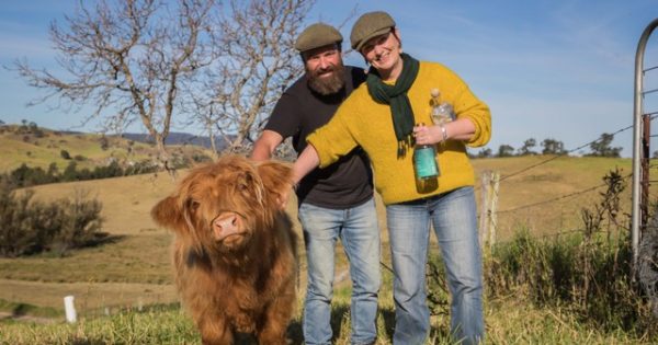 International accolades for North of Eden's micro-distillery gin