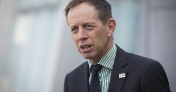 The ACT Greens want to end homelessness by 2025, but is it possible?