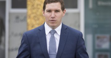 UPDATED: Coe concedes breakdown in Liberals' vetting process after McKay dumped