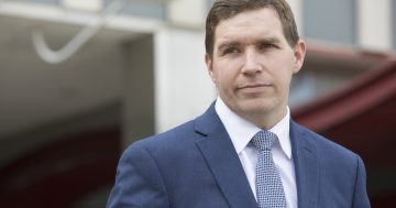 Does Alistair Coe really have a plan for his rates freeze and the economy?