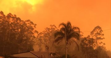 Bushfire strategy needs 