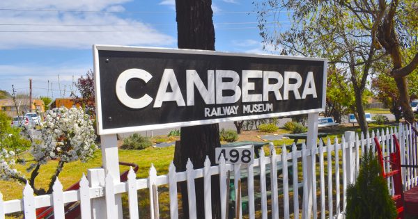 Eleven things to do in Canberra this week (3 July to 10 July)