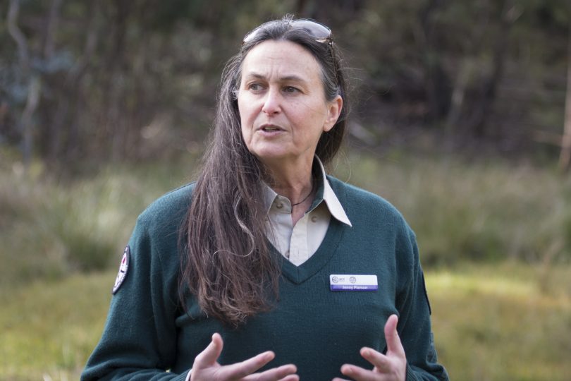 Dr Jenny Pierson
