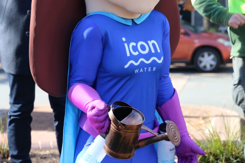 Icon Water logo